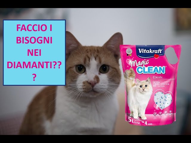 dove si butta la lettiera del gatto in silicio