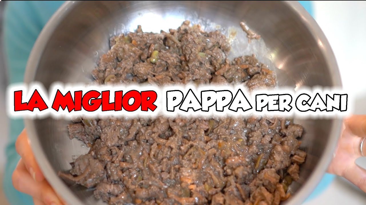 farmina agnello e mirtillo puppy opinioni