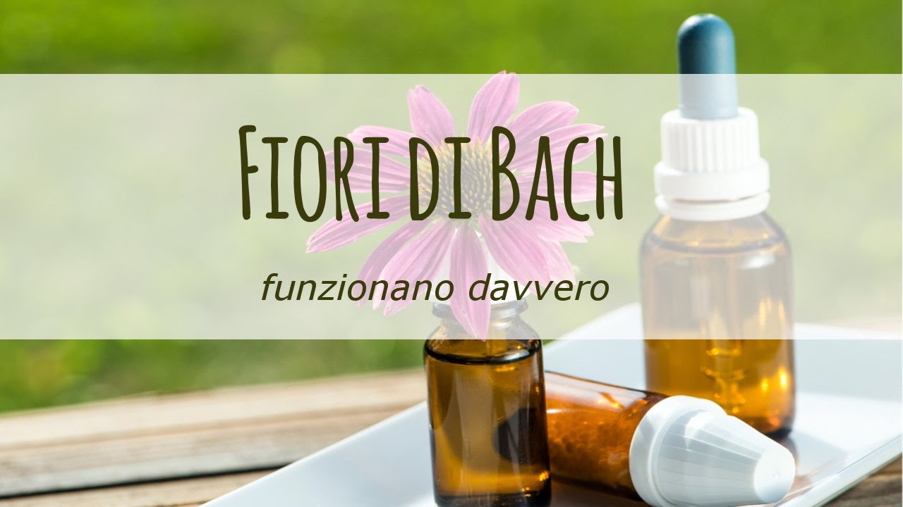 fiori di bach: elenco e proprietà
