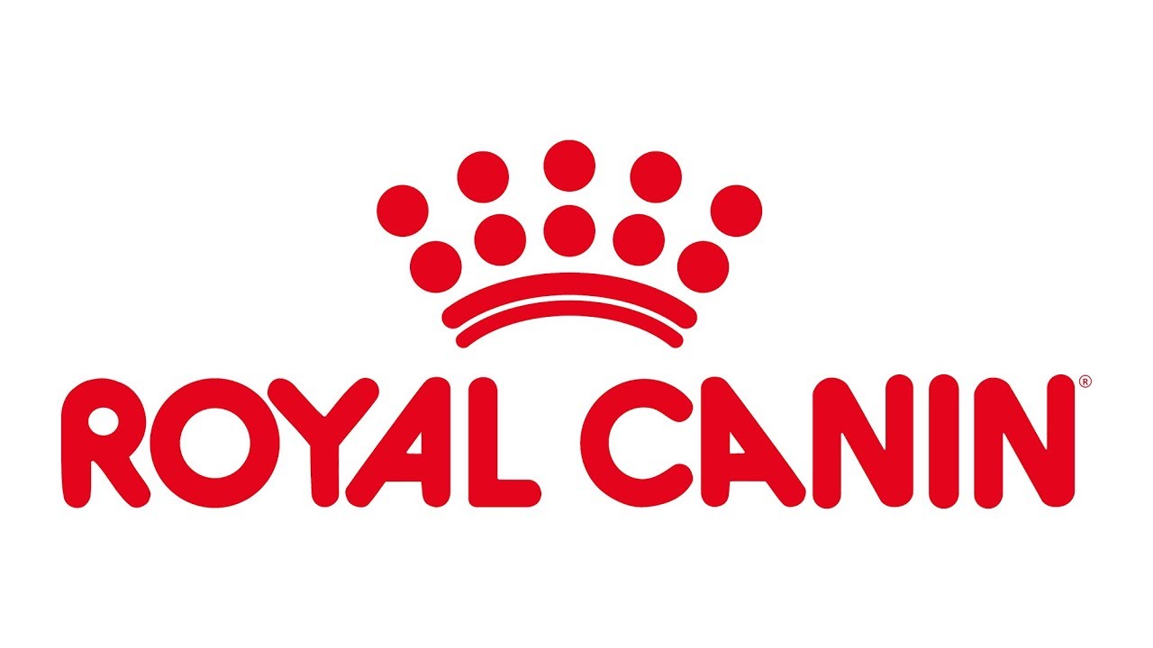 gastro intestinal royal canin per sempre