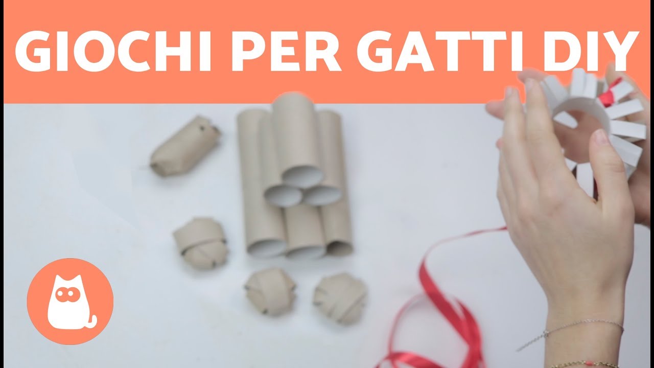 gioco per gatto fai da te