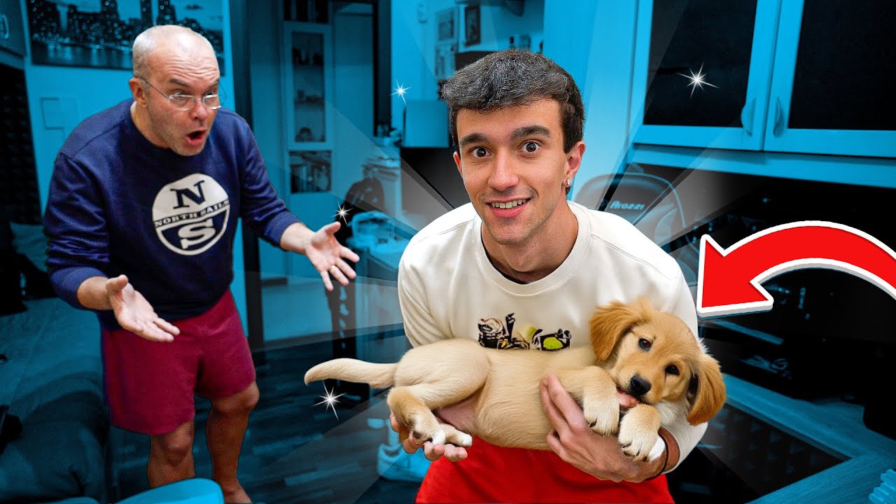 ho preso un cane ma non lo voglio più