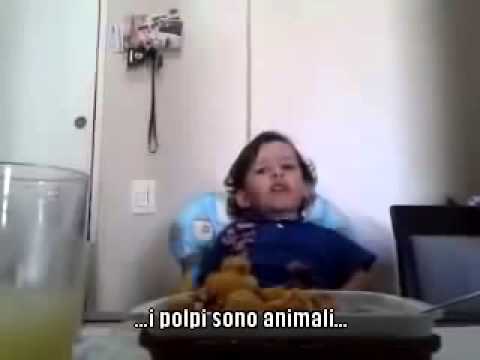 il cane può mangiare il polpo