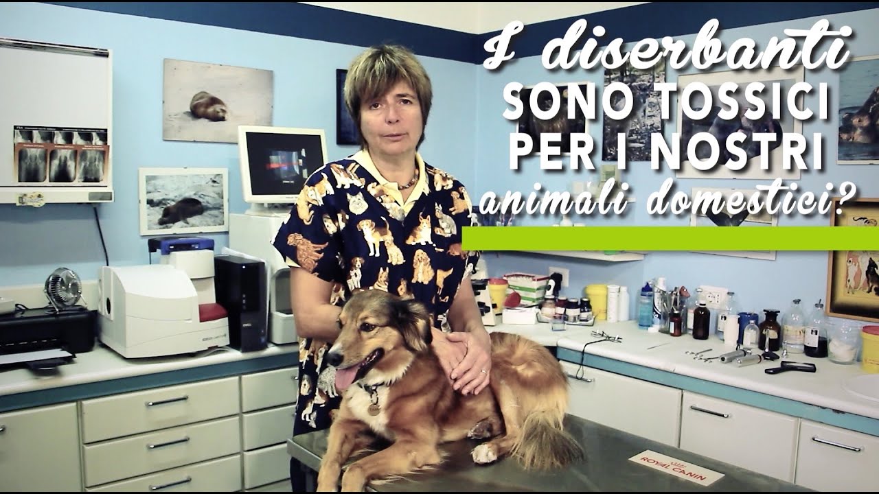 il diserbante è pericoloso per i cani