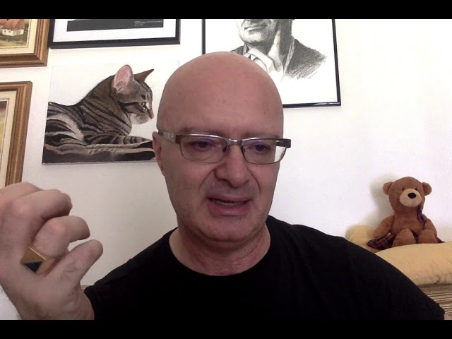 il gatto mi lecca il viso