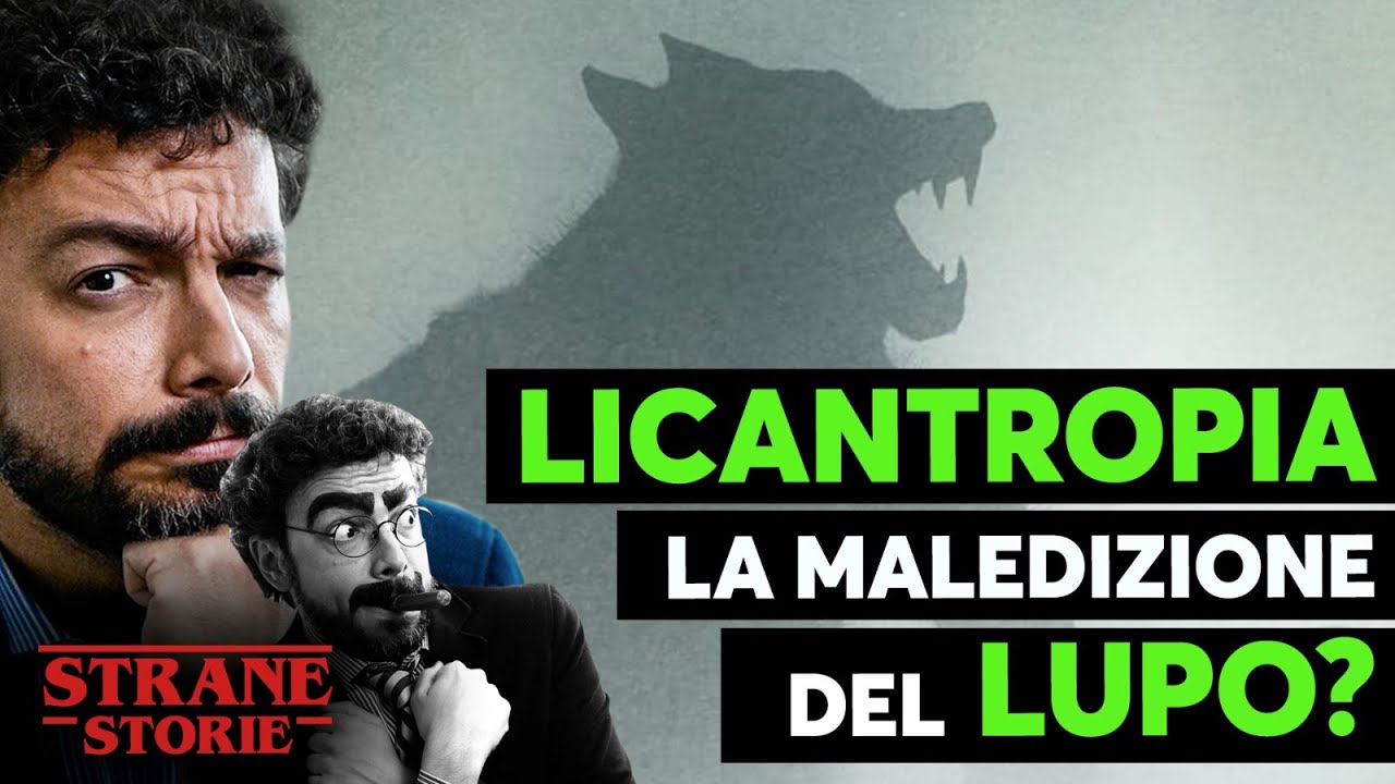 il lupo conosciuto anche come licantropo