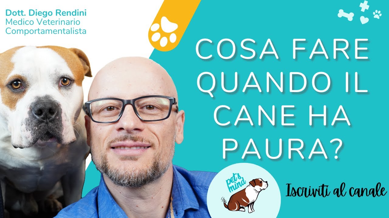 il mio cane ha improvvisamente paura di me
