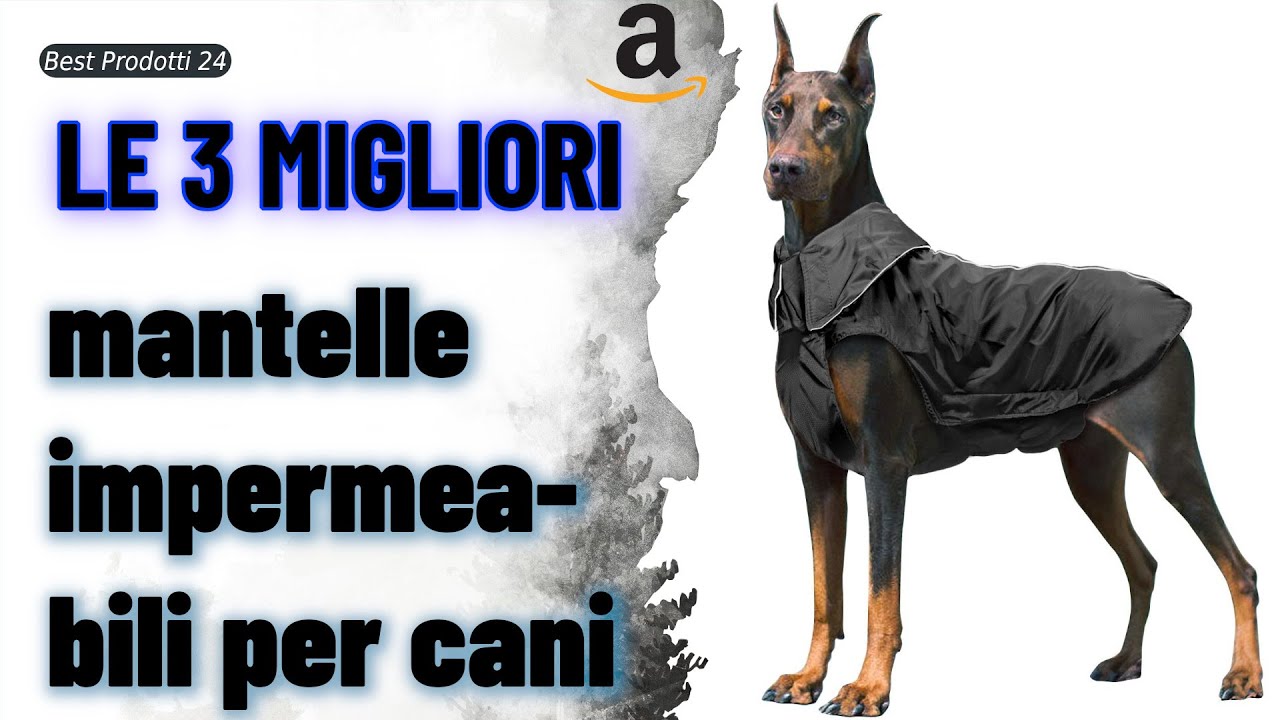 impermeabili per cani di taglia grande