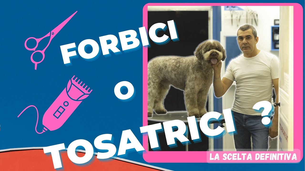 macchinetta per tosare i cani a pelo lungo