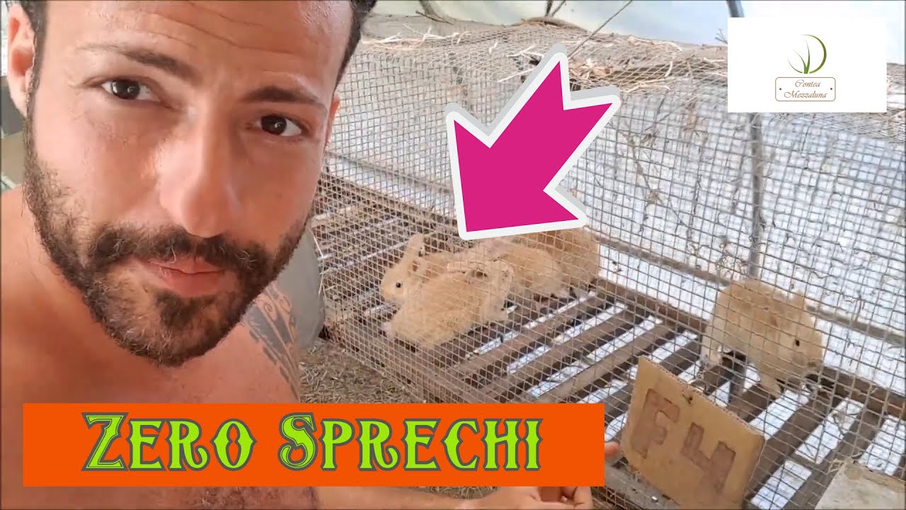 mangiatoia per conigli fai da te
