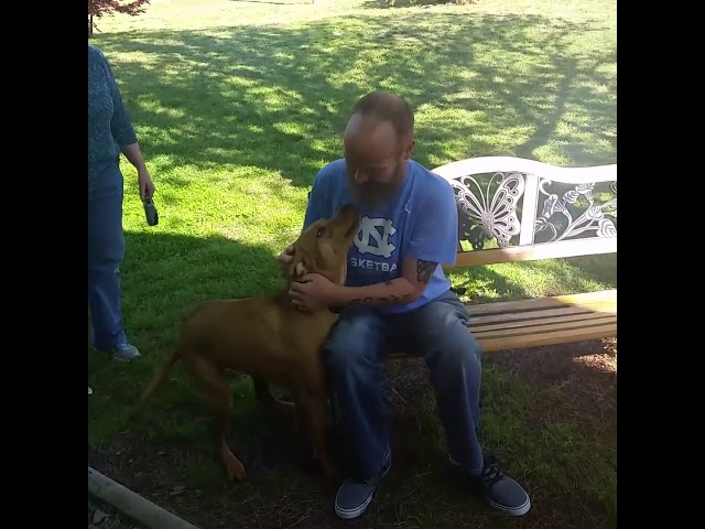 messaggi per i padroni dei cani