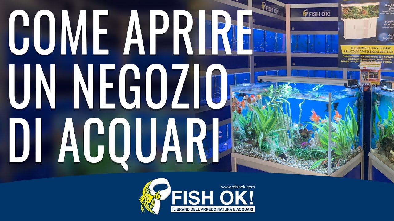 negozi di acquari vicino a me