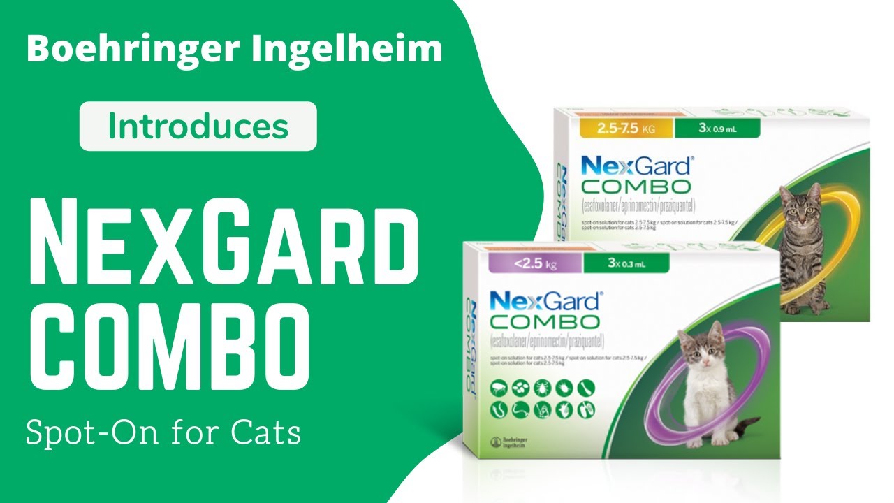 nexgard combo gatto 6 pipette prezzo