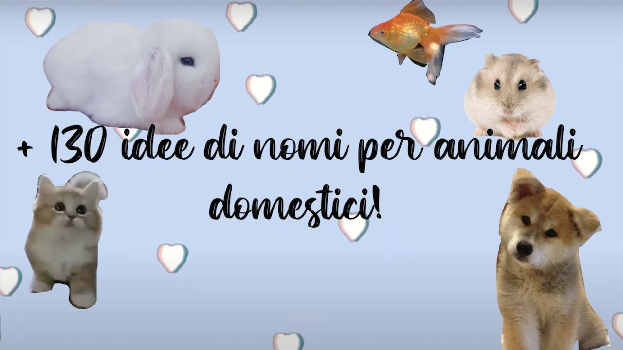 nomi da dare a un cavallo