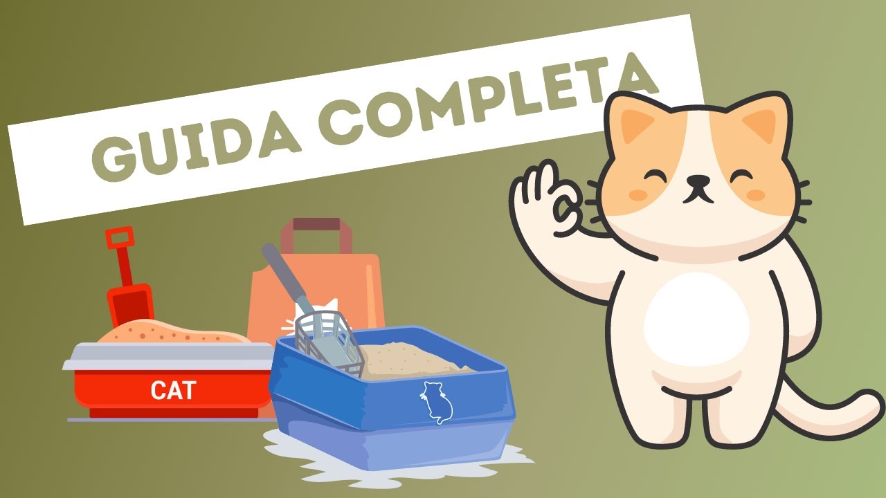 ogni quanto si cambia la lettiera del gatto