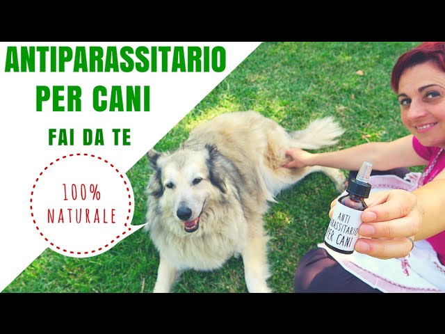 pastiglie per cani contro pulci zecche