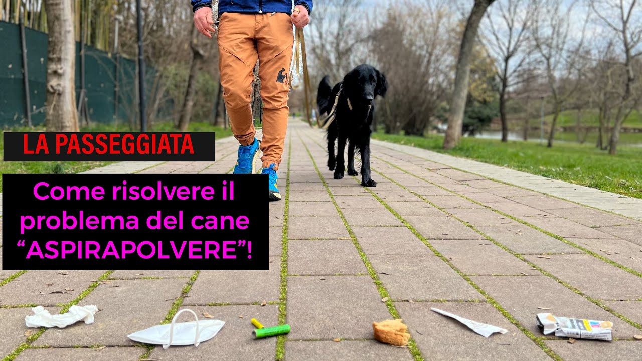 perchè il cane mangia la terra