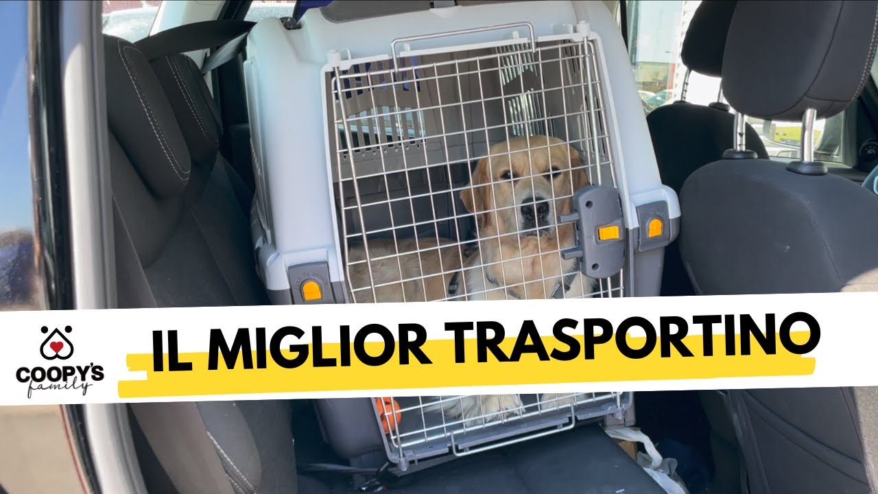 portare il cane in francia in macchina