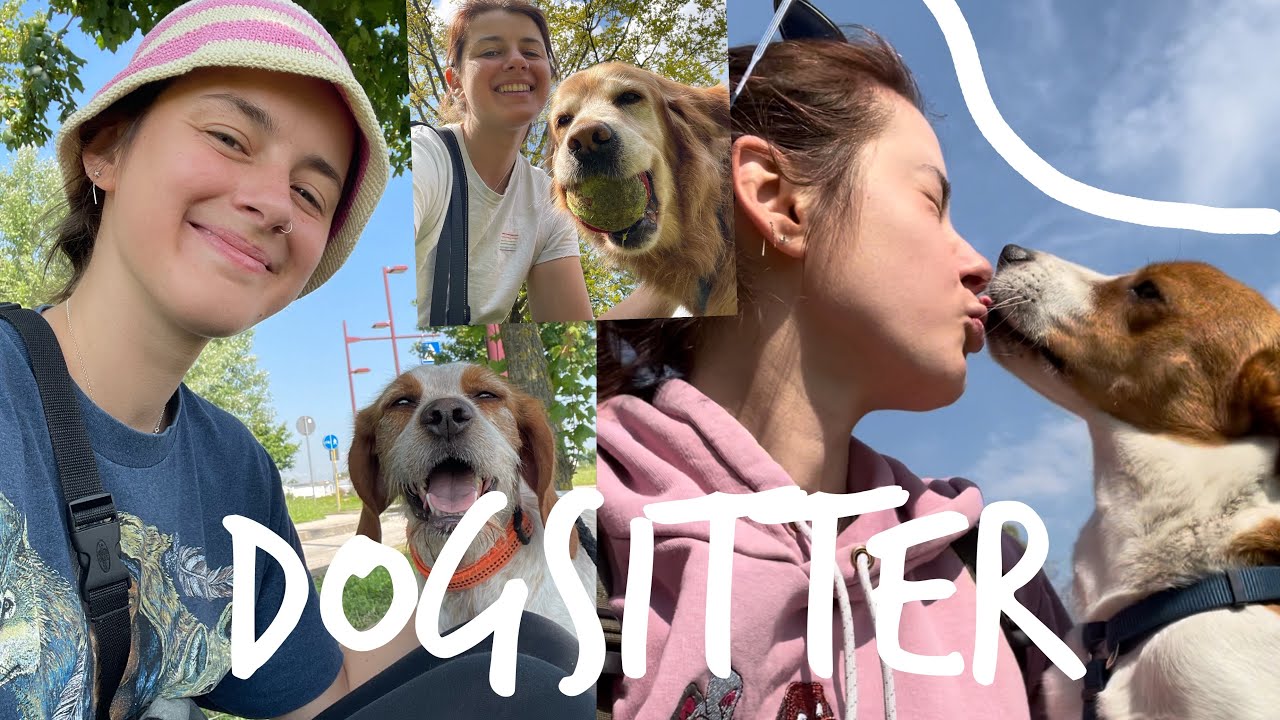 prezzo dog sitter giorno e notte