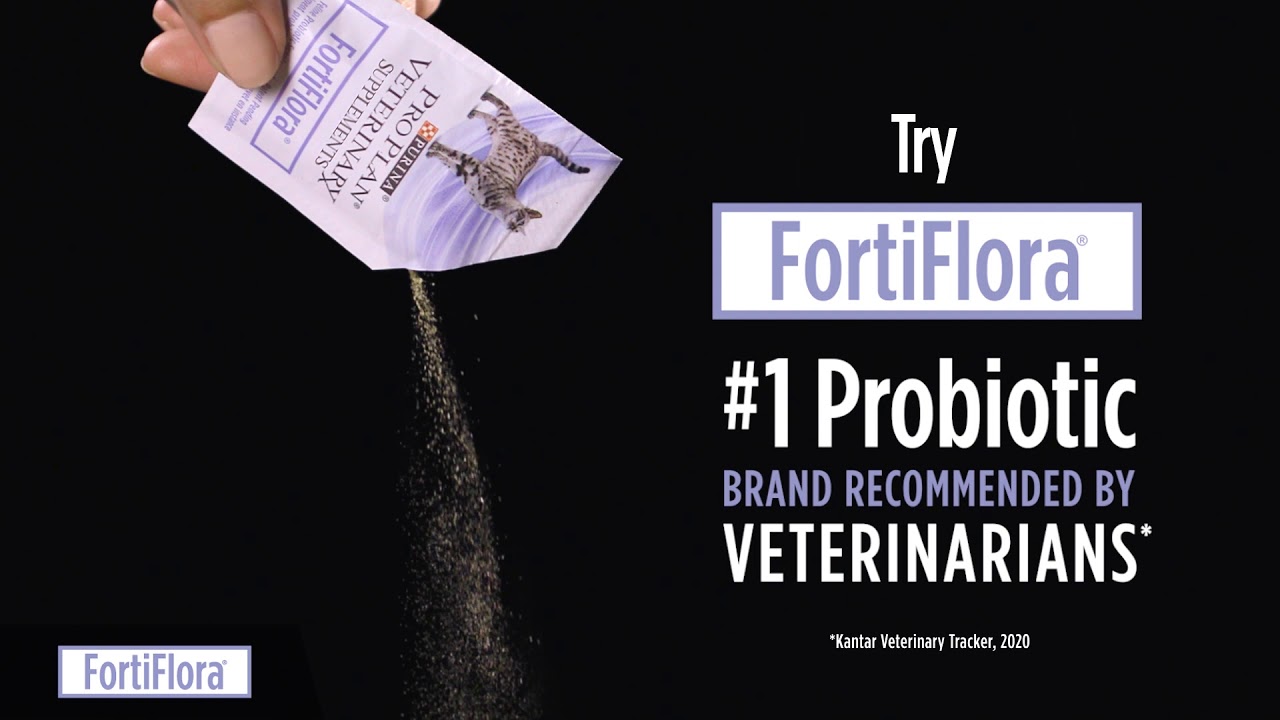purina pro plan hydra care gatto