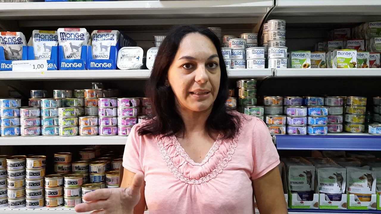 quantita di cibo per un gatto