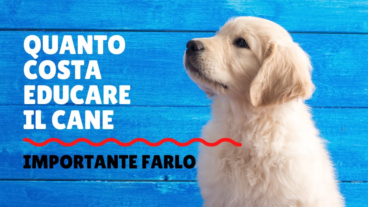 quanto costa far addestrare un cane