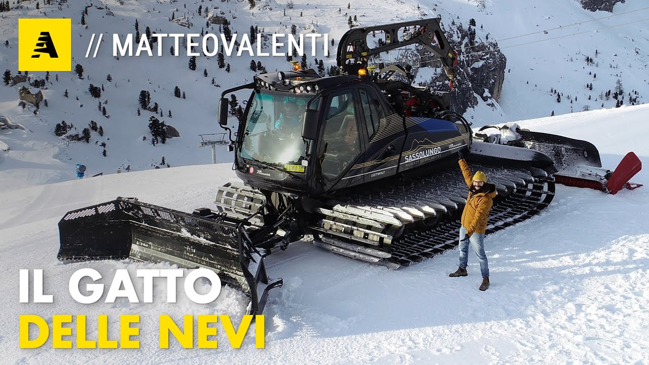 quanto costa un gatto delle nevi