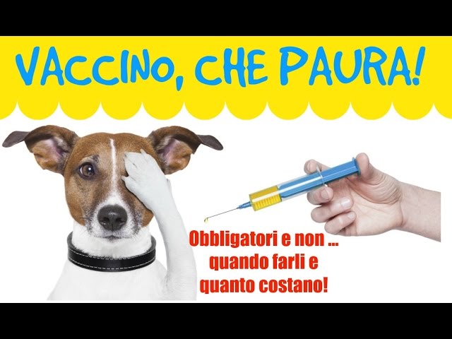 quanto costa una vaccinazione per cani