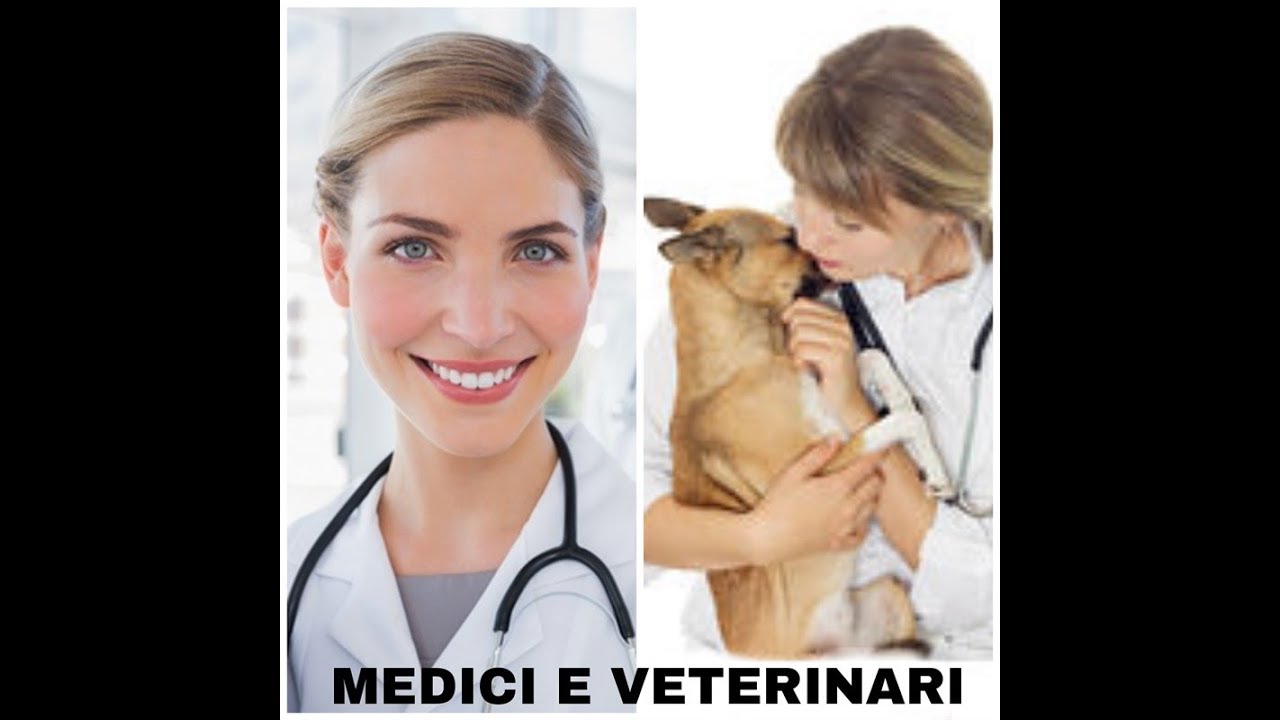 quanto guadagna un veterinario in svizzera