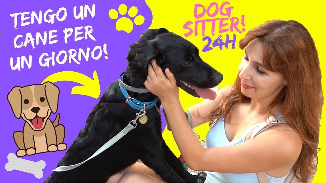 quanto si prende un dog sitter per una settimana