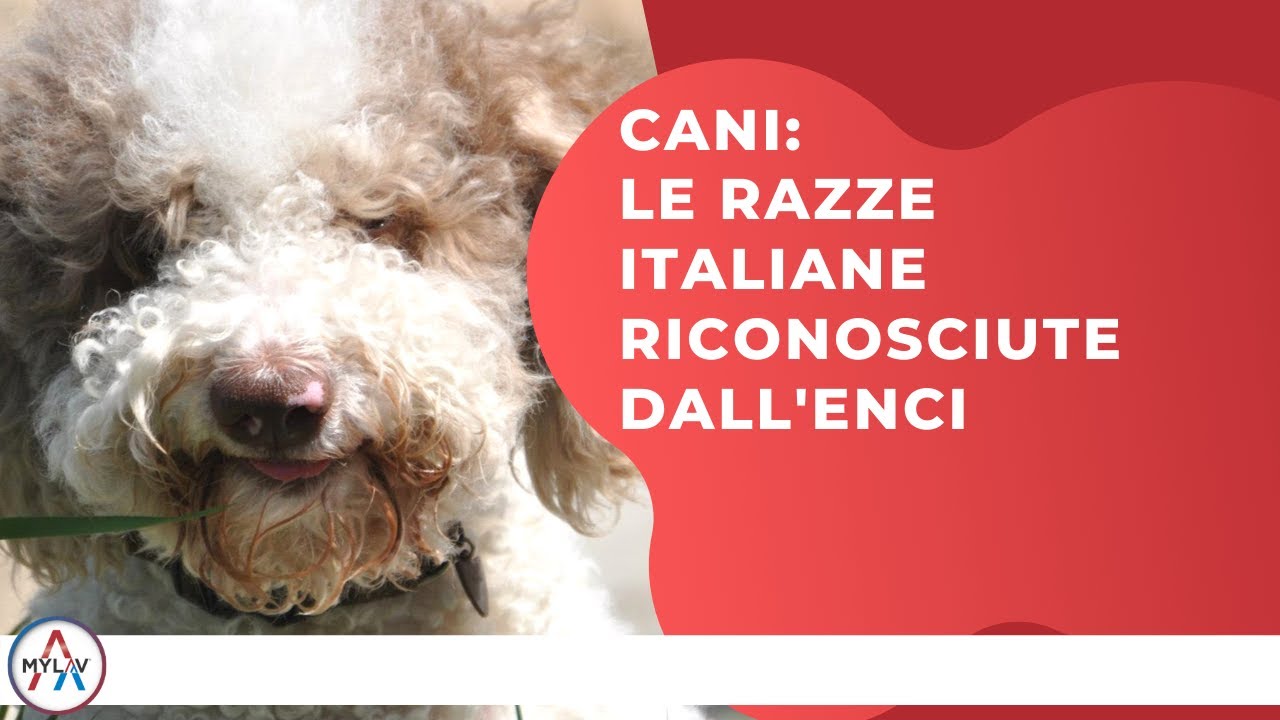 razze di cani italiane non riconosciute
