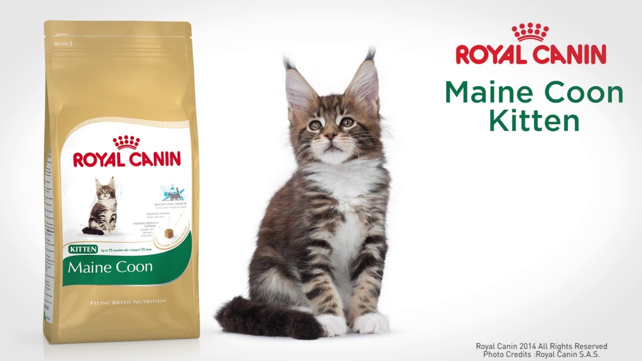 royal canin hypoallergenic gatto 4 5 kg
