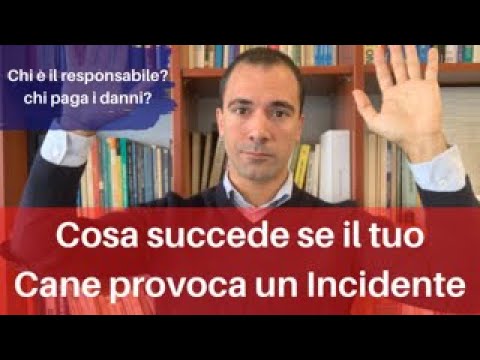 se il cane scappa e provoca incidente