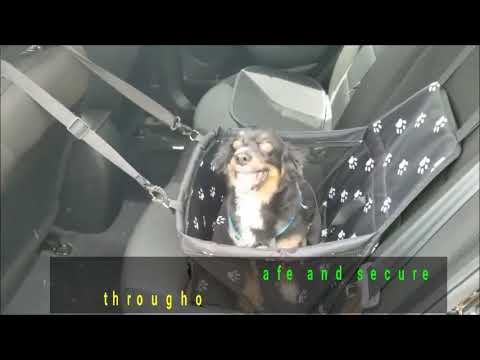 seggiolino auto per cani taglia media