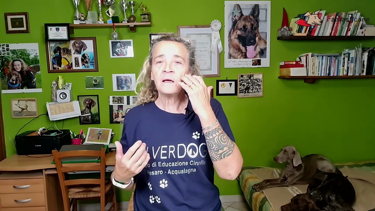 si può dare enterogermina al cane