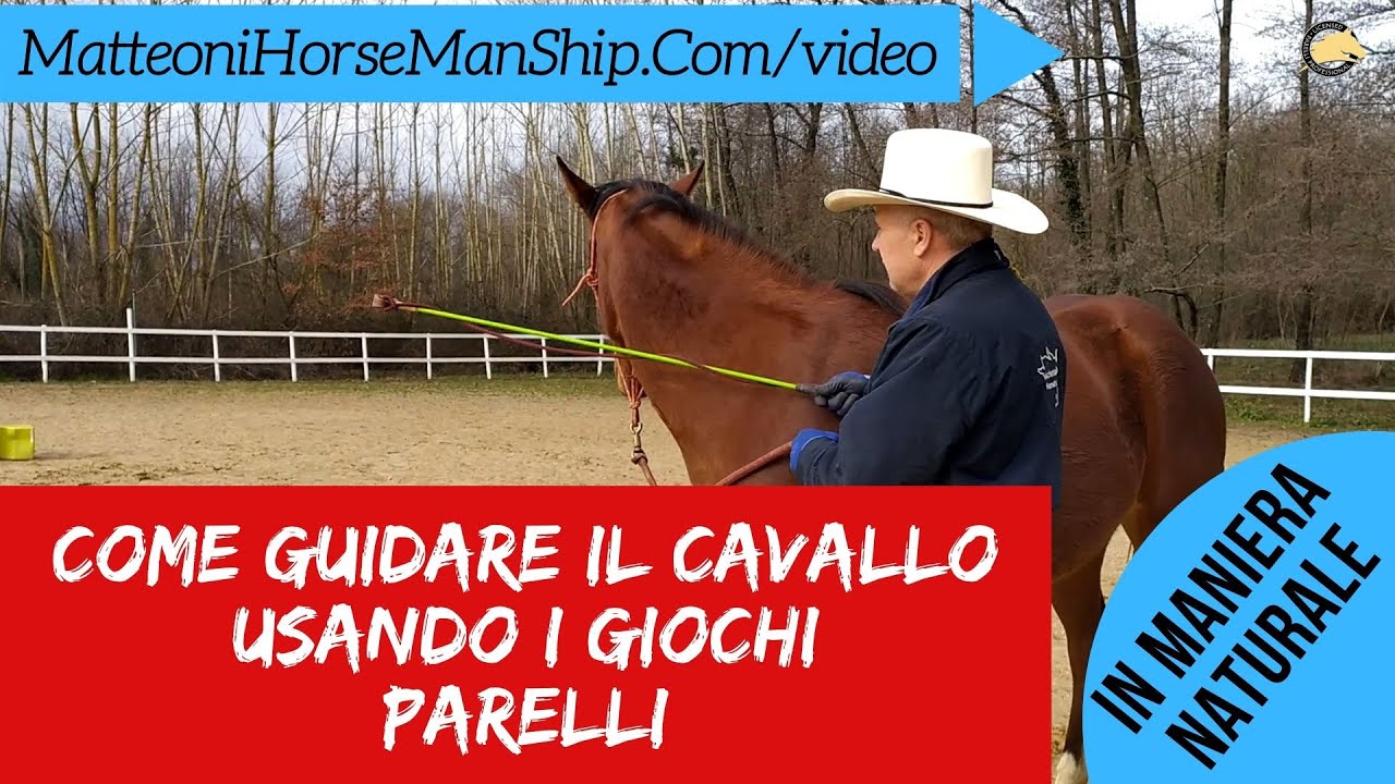 si usa per guidare il cavallo
