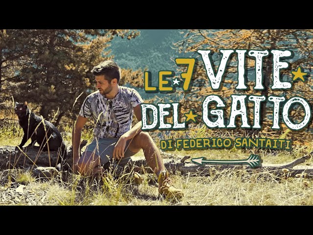 significato di avere sette vite come i gatti