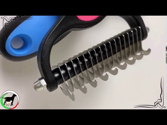 spazzole per gatti a pelo lungo