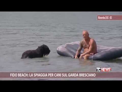 spiagge per cani lago di garda