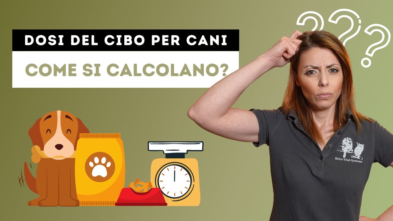 tabella dosi cibo casalingo per cani