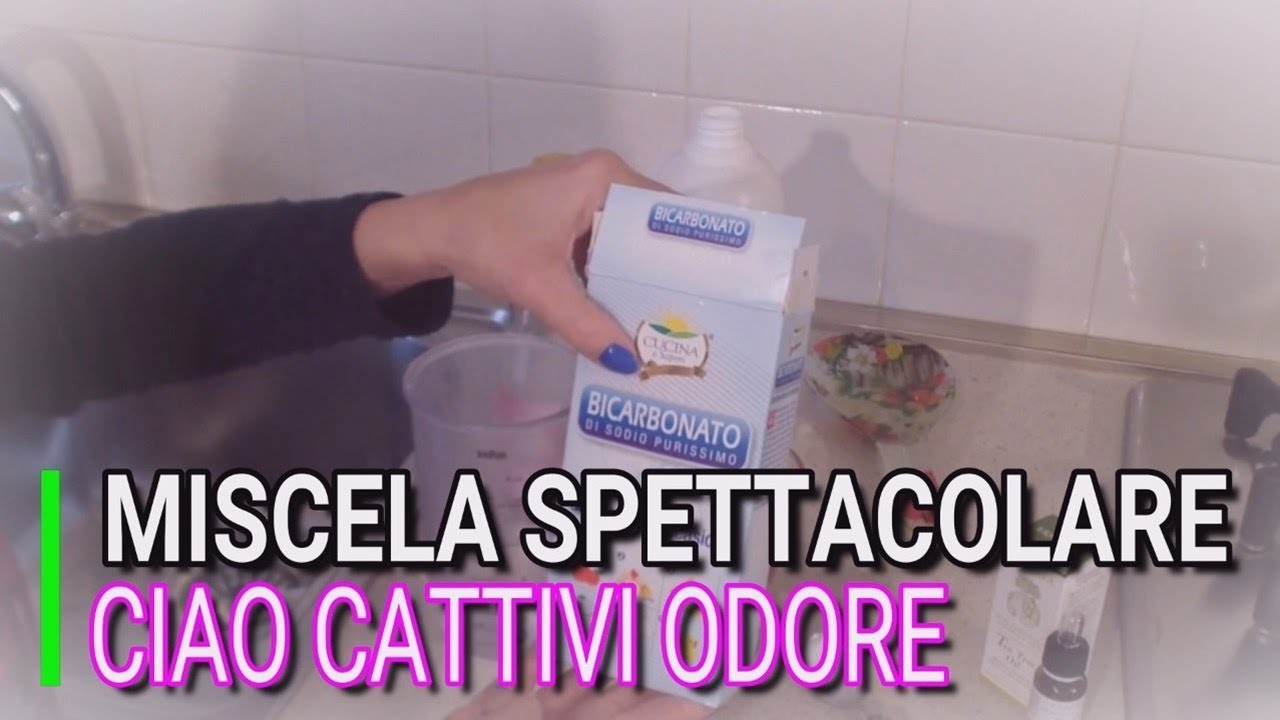 togliere odore di cane dal pavimento