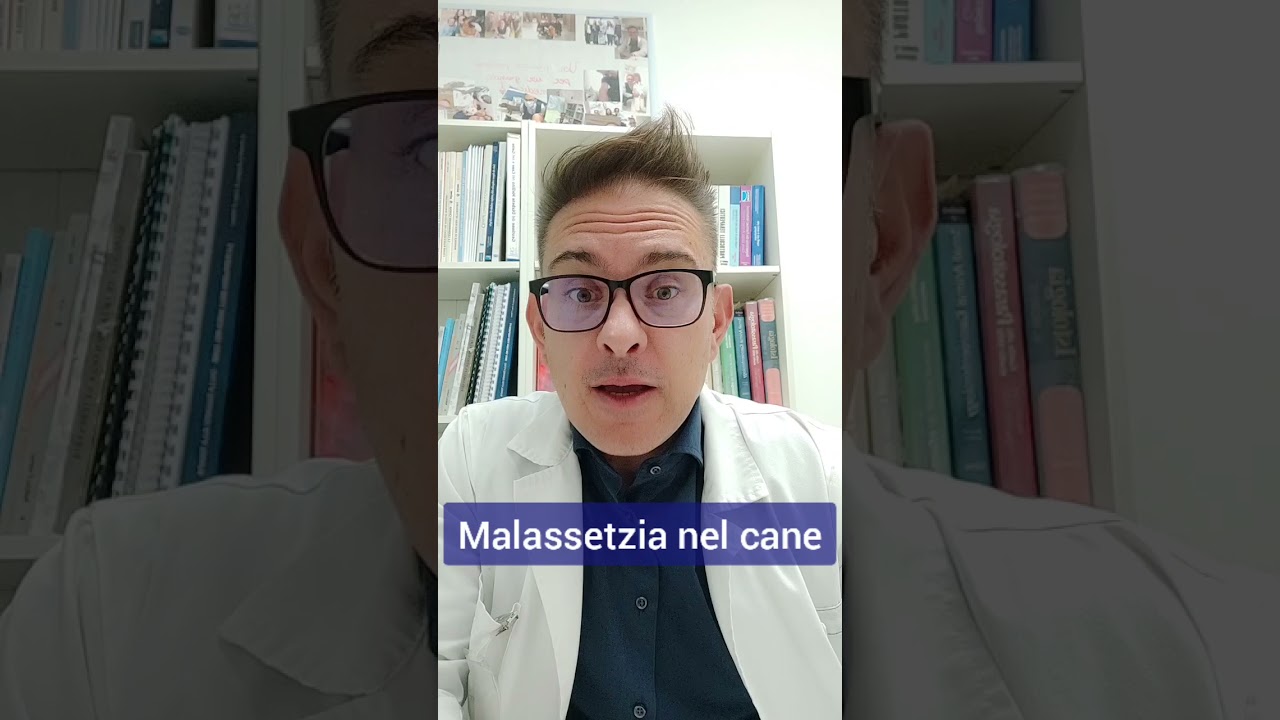 bolla rossa tra le dita del cane cura