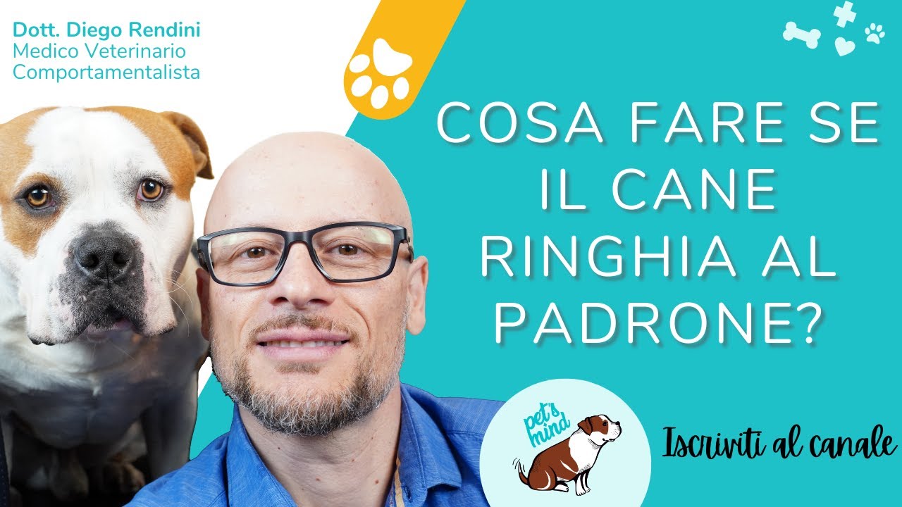 cane che diventa aggressivo con il padrone
