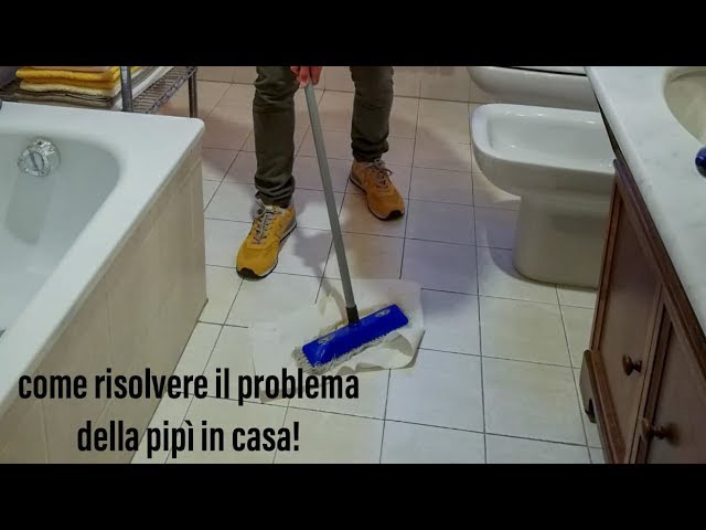cane fa pipì in casa per gelosia