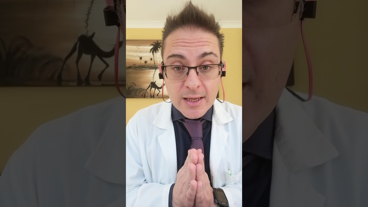 carne di manzo cruda al cane