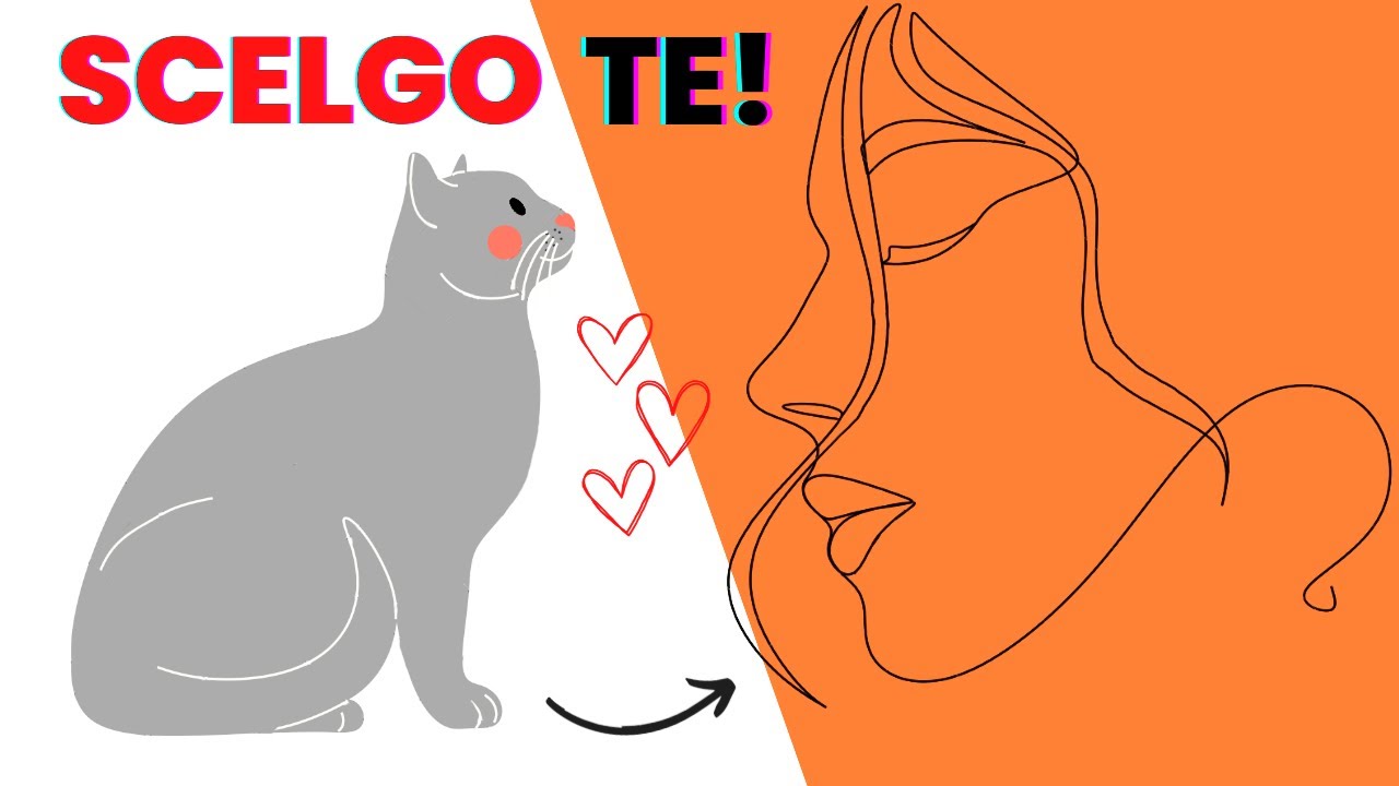 come i gatti scelgono il padrone