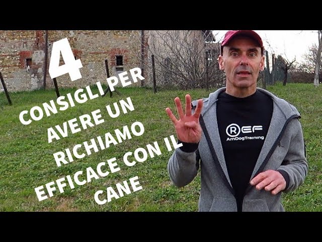 come insegnare al cane a non allontanarsi dal padrone
