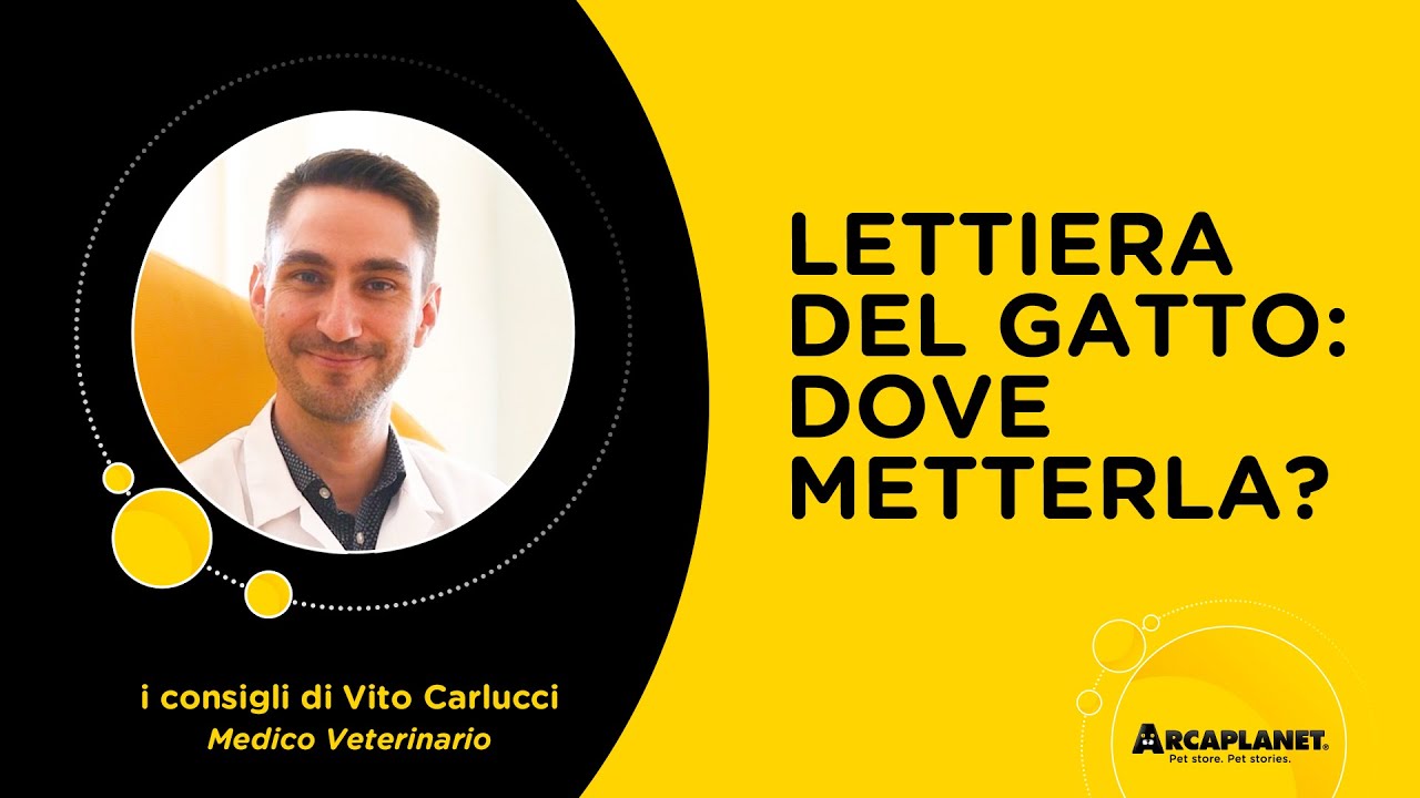 cosa mettere sotto la lettiera del gatto