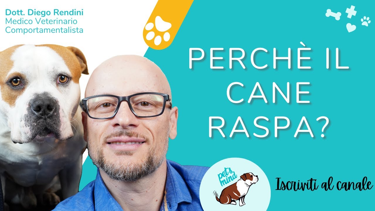 cosa significa quando il cane raspa
