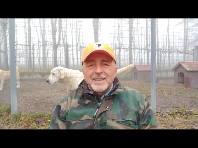 differenza tra proprietario e detentore di un cane
